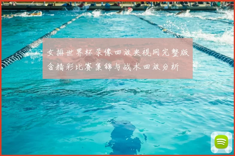 女排世界杯录像回放央视网完整版含精彩比赛集锦与战术回放分析