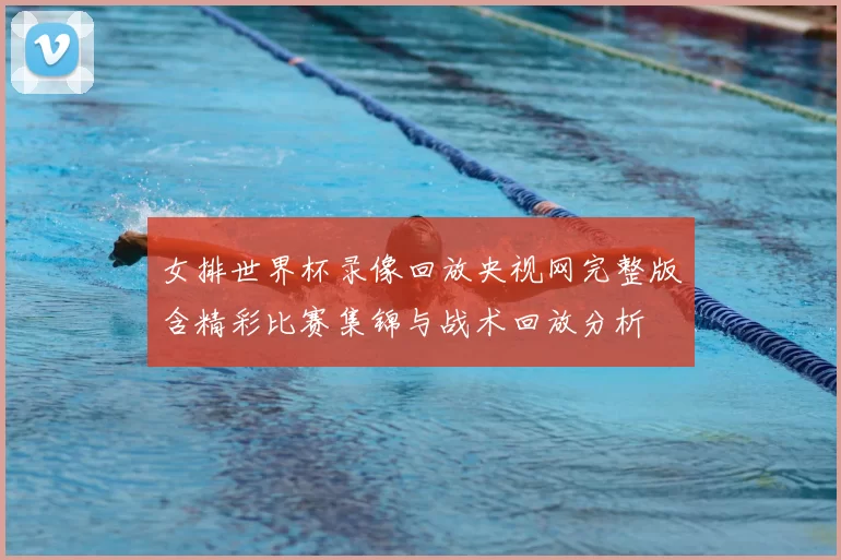 女排世界杯录像回放央视网完整版含精彩比赛集锦与战术回放分析